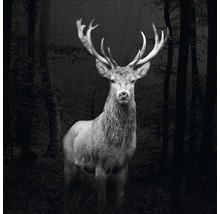 Leinwandbild Grey Deer Head 27x27 cm-thumb-0