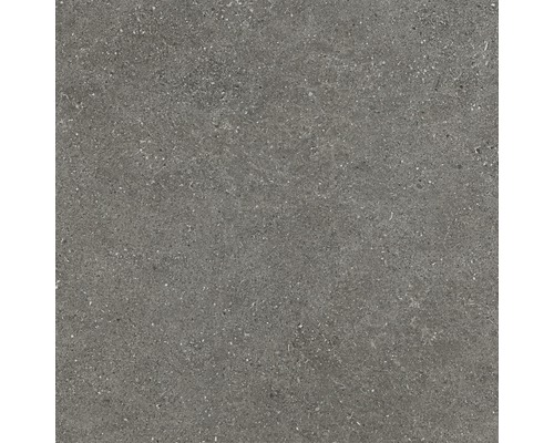 Feinsteinzeug Terrassenplatte Alpen grau glasiert matt 60 x 60 cm-0