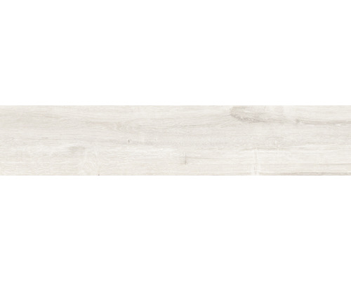 Feinsteinzeug Wand- und Bodenfliese Limewood blanco 23 3 x 120 cm