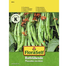 Prunkbohnen Rotblühende FloraSelf samenfestes Saatgut Gemüsesamen-thumb-0
