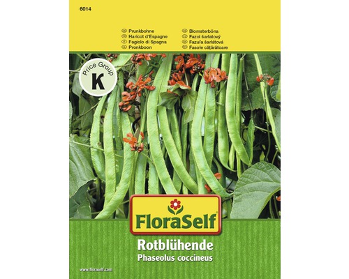 Prunkbohnen Rotblühende FloraSelf samenfestes Saatgut Gemüsesamen-0