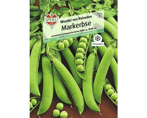 Markerbse 'Wunder von Kelvedon' Gemüsesamen