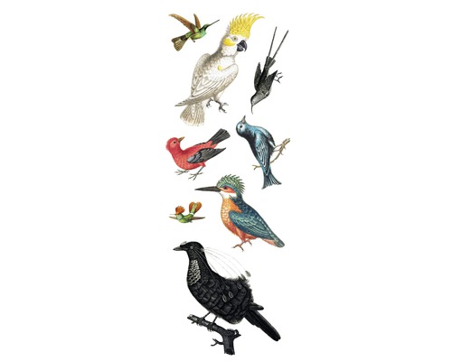 Wandsticker Birds 25x70 cm