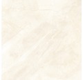 Feinsteinzeug Wand- und Bodenfliese Marmor Neolith Ivory Matt 119,7 x 119,7 cm
