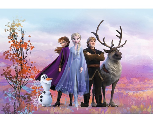 Fototapete Papier Disney Frozen Iconic 368 x 254 cm