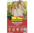 Pflanzkartoffeln FloraSelf Select Solanum tuberosum 'Mandel' 10 Stk