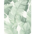 Vliestapete 31650 Avalon Floral weißgrün