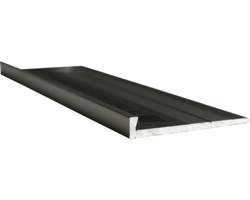 Profilleiste Abschluss Slate-Lite F-Line stahl 2,5 m