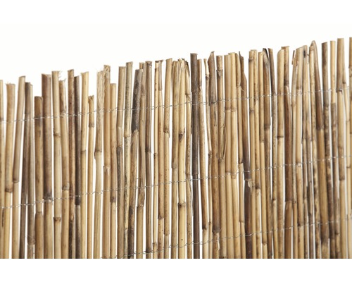 bambusmatten sichtschutz hornbach