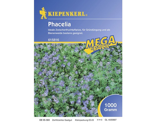 Phacelia Kiepenkerl Blumensamen 1 kg