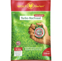Rasensamen WOLF-Garten Turbo Nachsaat 5 kg 250m²-thumb-0