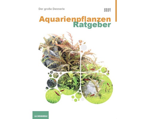 Ratgeber DENNERLE Aquarienpflanzen 2020 DE
