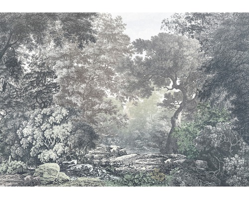 Fototapete Vlies Fairytale Forest 400 x 280 cm