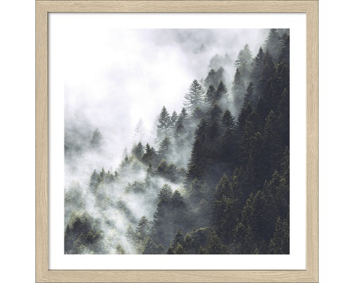Gerahmtes Bild Foggy Trees I 33x33 cm