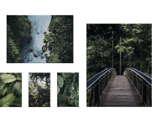 Leinwandbild Dschungel Grün 5er-Set 96x60 cm