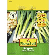 Lauchzwiebel 'Kaigaro' FloraSelf samenfestes Saatgut Gemüsesamen-thumb-0