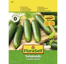 Snack-Gurke Salamanda' FloraSelf F1 Hybride Gemüsesamen-thumb-0