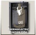 Gas-Heizofen Einhell Blue Flame BFO 4200/1 4,2 kW