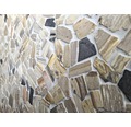 Natursteinmosaik Bruch/Ciot mix wood stone fossil