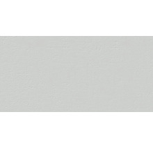 Feinsteinzeug Wand- und Bodenfliese 30 x 60 cm Matrix Silbergrau Random2 R11B-thumb-0