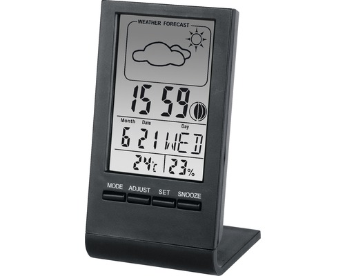 LCD-Thermo-/Hygrometer Thermometer 100