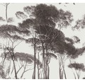 Vliestapete 37651-1 History of Art Bäume grau