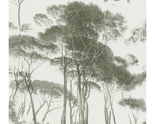 Vliestapete 37651-2 History of Art Bäume grün