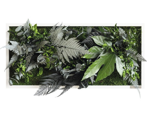 Pflanzenbild Dschungeldesign 57x27 cm