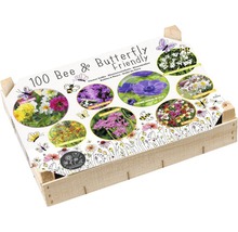 Blumenzwiebel Big Box - BIO Diversität Bee & Butterfly mit Dahlia, 100 Stk-thumb-0