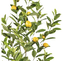 Kunstpflanze Zitronenbaum H 180 cm-thumb-1