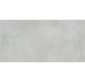 Feinsteinzeug Wand- und Bodenfliese Fresh Ash Pulido 80x160 cm