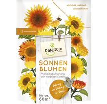 Blumensamenmix ReNatura Sonnenblumen-Mix niedrig für 60 m²-thumb-0