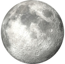 Fototapete Vlies Mond Ø 142,5 cm-thumb-0