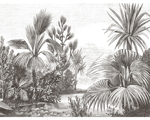 Fototapete Vlies Dschungel Illustration 243 x 184 cm-0