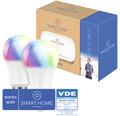 SMART HOME by hornbach Starter Set Licht smarte Beleuchtung inkl. Gateway und 2 Stk FLAIR Viyu E27 RGB