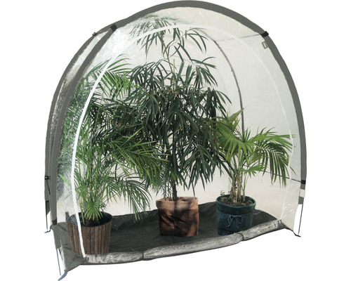 Winterschutz Videx Überwinterungszelt Schutzzelt ICE transparent H 175 cm B 185 cm T 85 cm für Großpflanzen