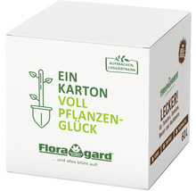 Bio Erde Lecker! Floragard BOX 1x60L-thumb-0