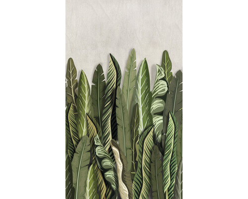 Fototapete Vlies Smart Art Easy 47205 Floral grün beige 3-tlg. 159 x 270 cm