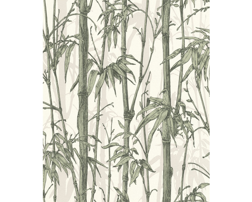 Vliestapete 484847 Florentine III Bambus grün