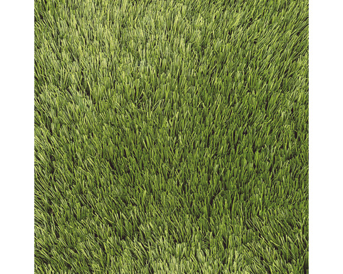 Kunstrasen Moran mit Drainage grün 400 cm breit (Meterware)
