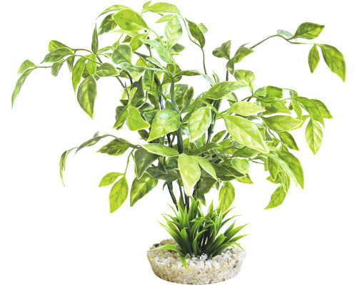 Kunststoffpflanze sydeco Echinodorus 31 cm-0