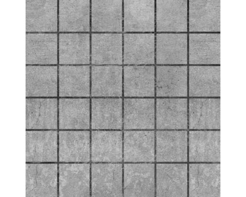 Feinsteinzeugmosaik Baltimore grau 30 x 30 cm