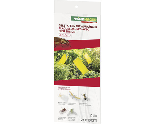 Gelbtafeln mit Aufhänger Windhager 10 Stk. ca. 24 x 10 cm gegen Weiße Fliege, Trauermücke, Blattlaus, Fruchtfliege, Meniermotte , insektizitfrei, geruchlos-0