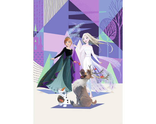 Fototapete Vlies IADX4-059 Into Adventure Disney Frozen Abstract Arendelle  4-tlg. 200 x 280 cm bei HORNBACH kaufen | Wandtattoos