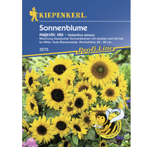 Sonnenblume 'Majestic Mix' Kiepenkerl Blumensamen-thumb-0
