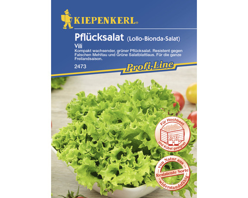 Schnittsalat/Pflücksalat 'Vili' Kiepenkerl Salatsamen
