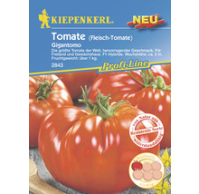 Fleisch-Tomate Gigantomo F1 Kiepenkerl Gemüsesamen-thumb-0