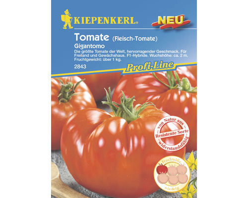 Fleisch-Tomate Gigantomo F1 Kiepenkerl Gemüsesamen