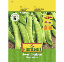 Zuckererbse 'Sweet Horizon' FloraSelf samenfestes Saatgut Gemüsesamen-thumb-0