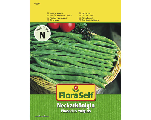 Stangenbohnen 'Neckarkönigin' FloraSelf samenfestes Saatgut Gemüsesamen